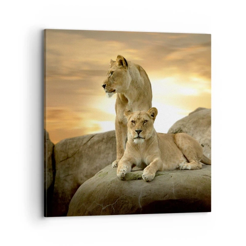 Vászonkép - Királyi felség - 70x70 cm