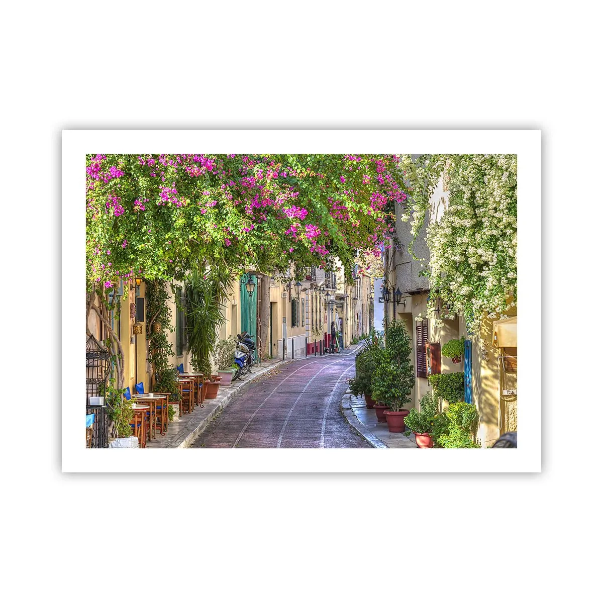 Poszter - Virágzó sikátor - 70x50 cm