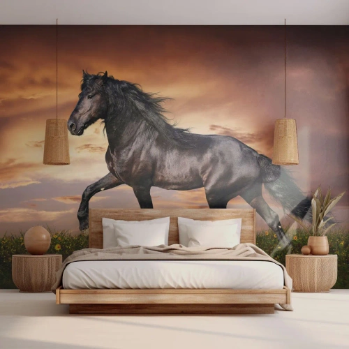 Fotótapéta Premium Sand - Fekete herceg - Állatok, arab ló, Tájkép - 250x175 cm