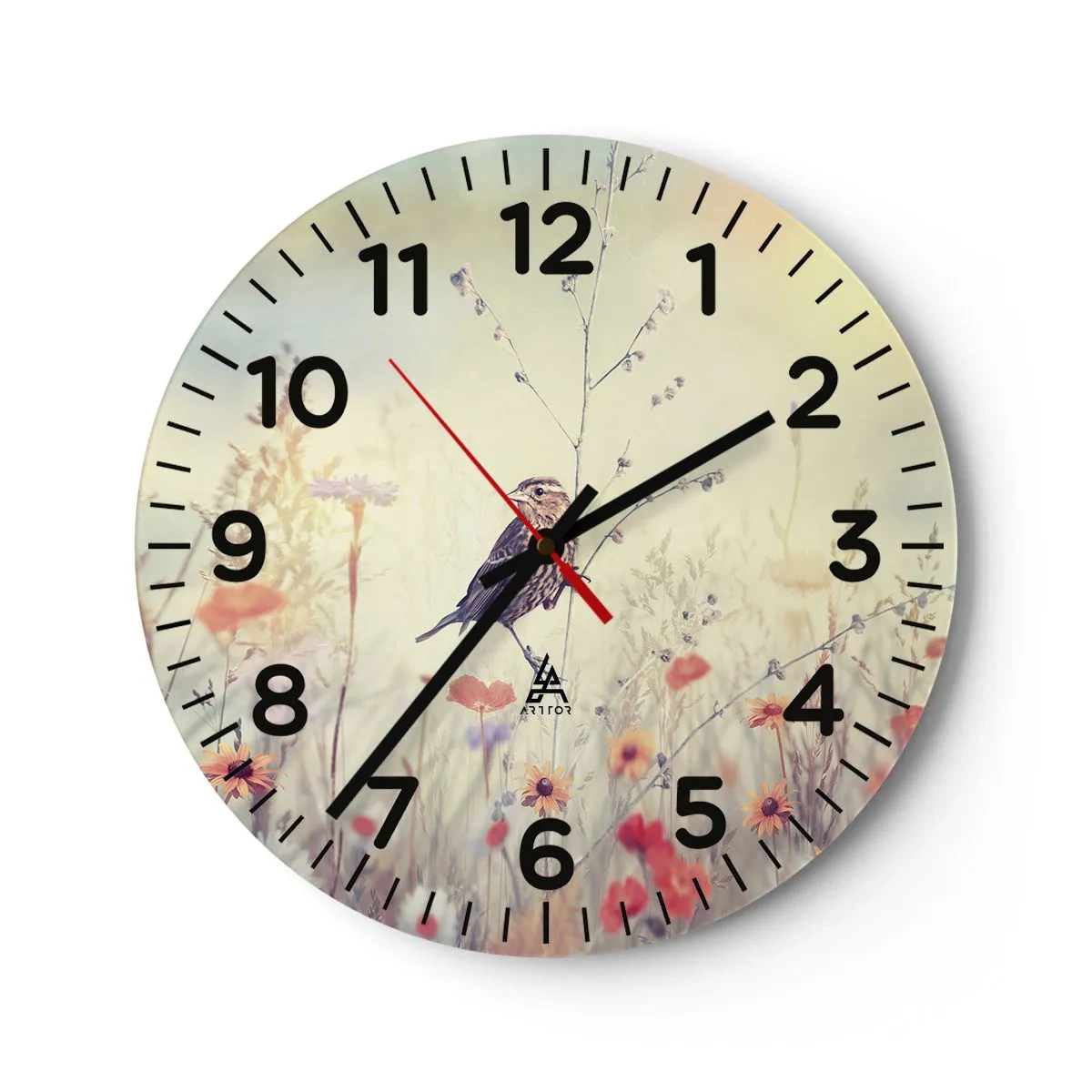 Falióra, Óra - Madárportré egy réttel a háttérben - 40x40 cm