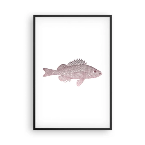 Poszter fehér keretben - Nagyszemű hal - 61x91 cm