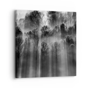 Vászonkép - Fénypatakokban - 30x30 cm