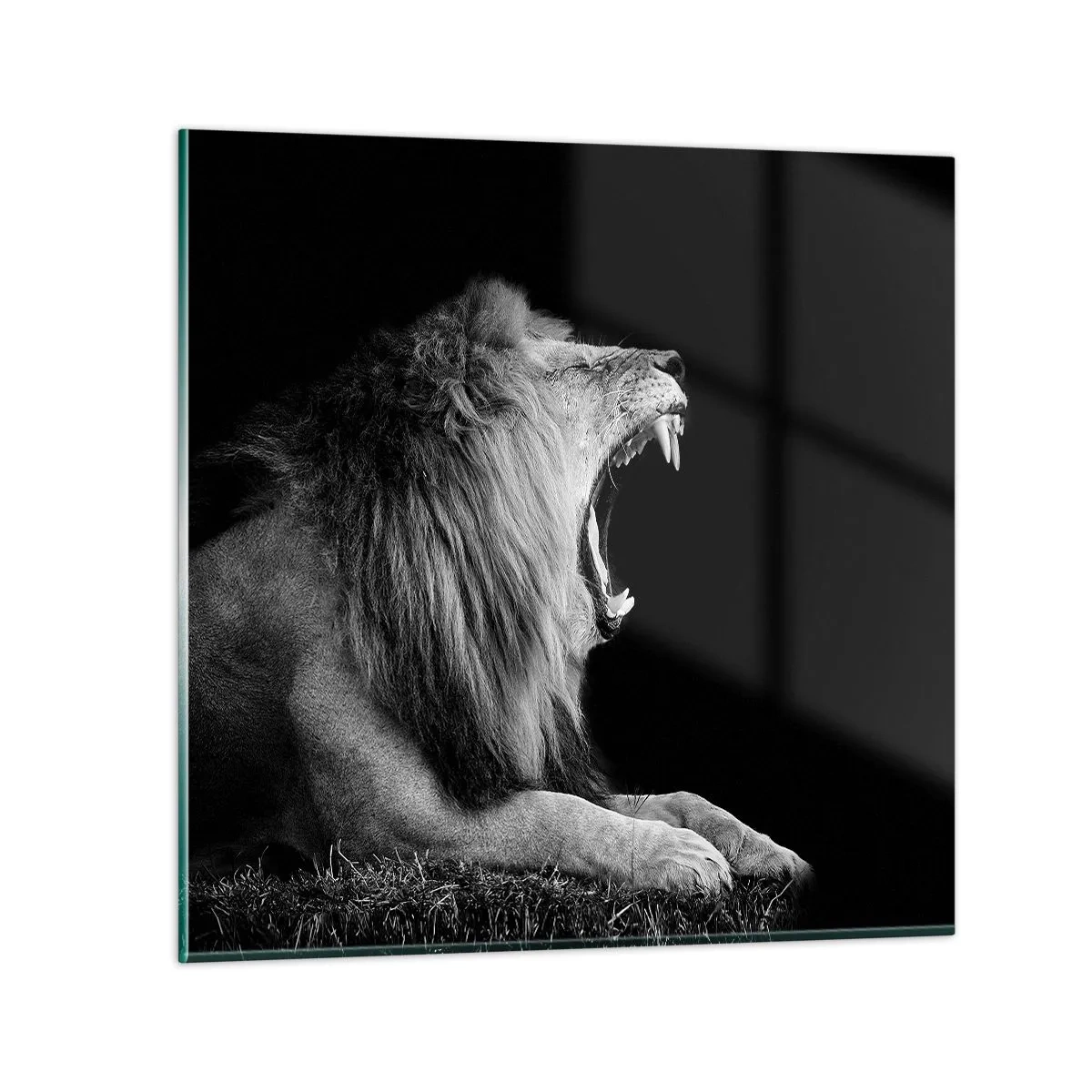 Üveg kép - Kétség nélkül - 30x30 cm