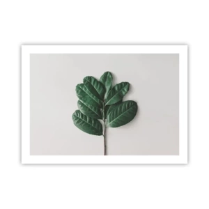 Poszter - Rajz csak a természetről - 70x50 cm