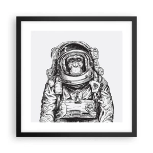 Poszter fehér keretben - Alternatív evolúció - 40x40 cm