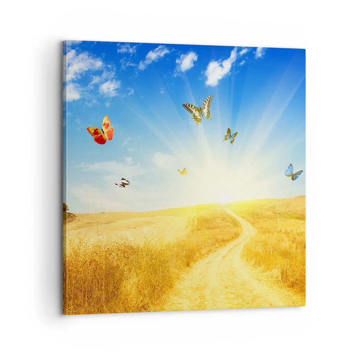 Vászonkép - És hogy lehet nem szeretni a nyarat? - 60x60 cm