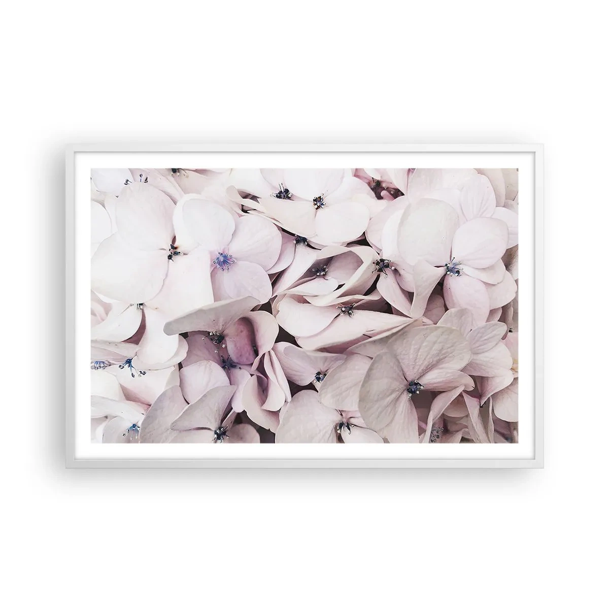 Poszter fekete keretben - A virágok áradatában - 91x61 cm