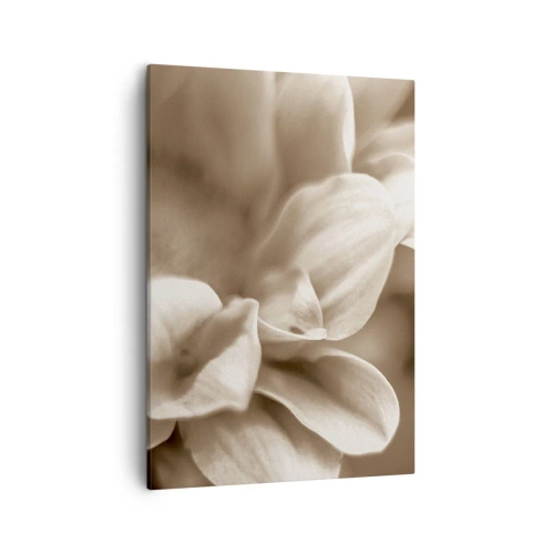 Vászonkép - Gyengéd, mint egy mosoly - 50x70 cm