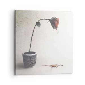 Vászonkép - Rosa dolorosa - 70x70 cm