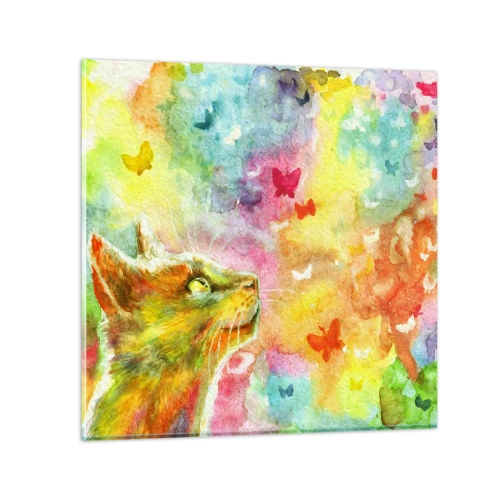 Üveg kép - Baju-baju a macskaparadicsomban - 50x50 cm