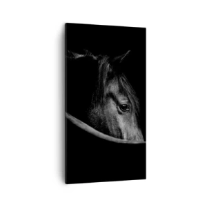 Vászonkép - Fekete herceg - 45x80 cm