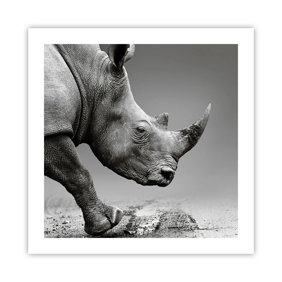 Poszter - Megállíthatatlan erő - 50x50 cm