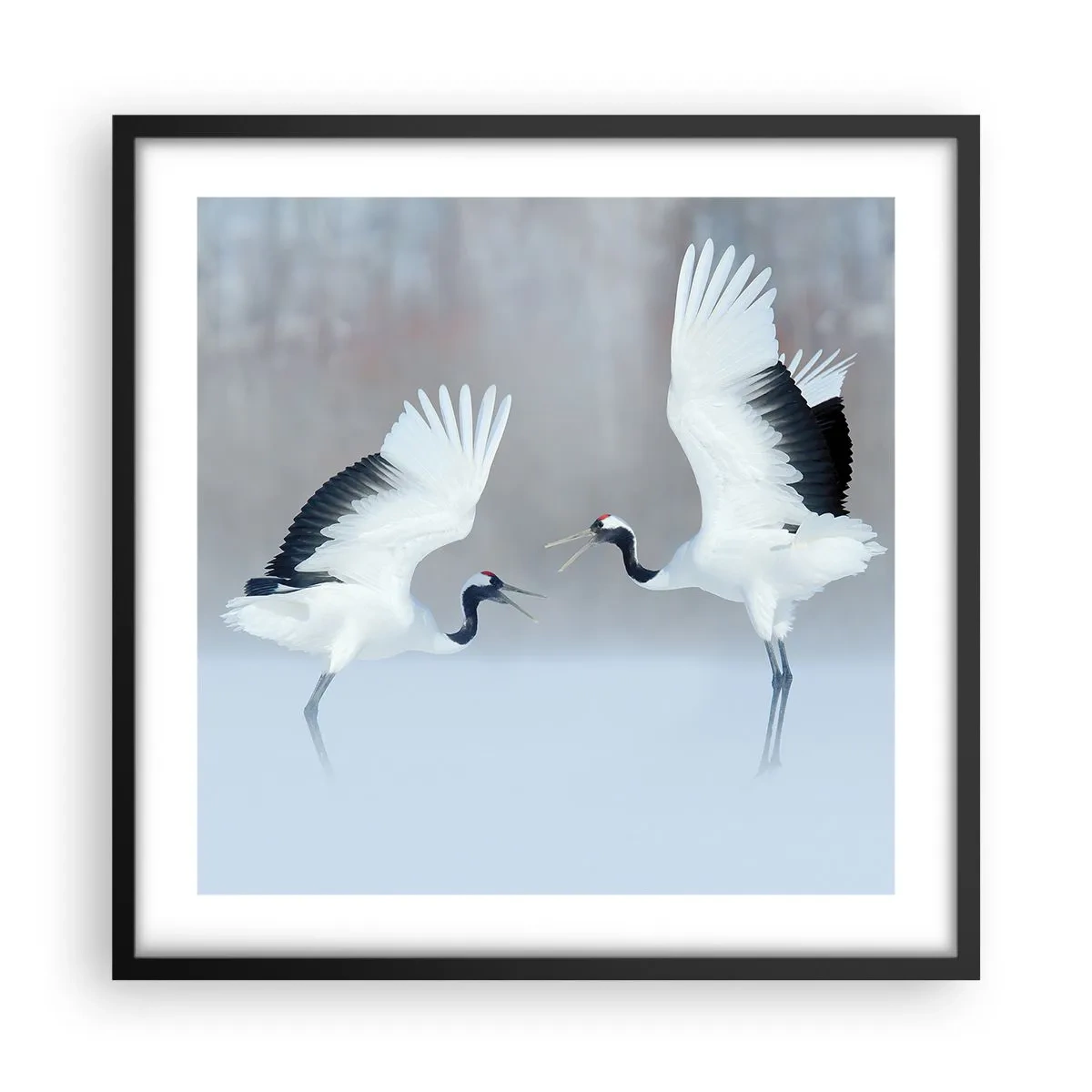 Poszter fehér keretben - Tánc a ködben - 50x50 cm