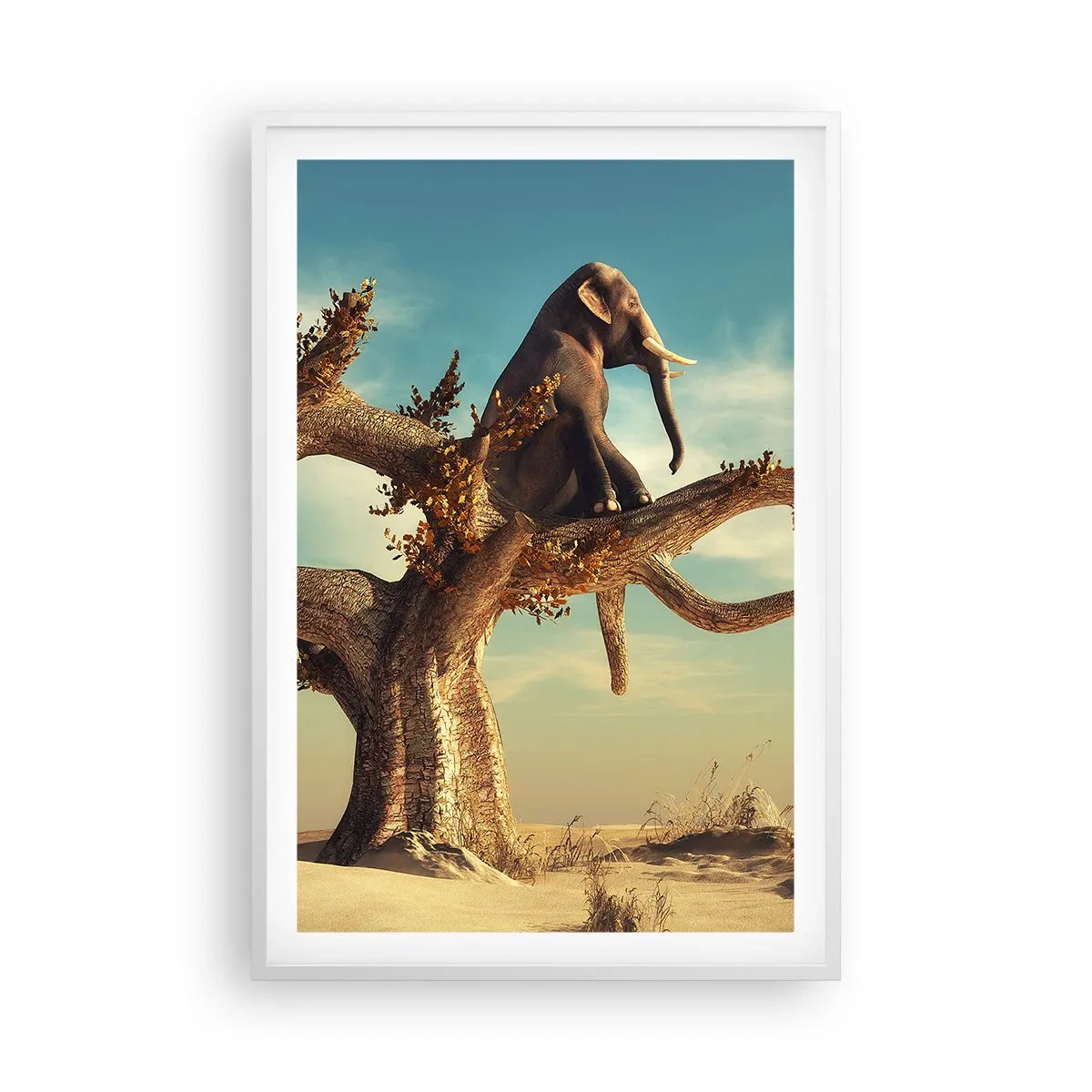 Poszter fekete keretben - Egy új nézőpont - 61x91 cm