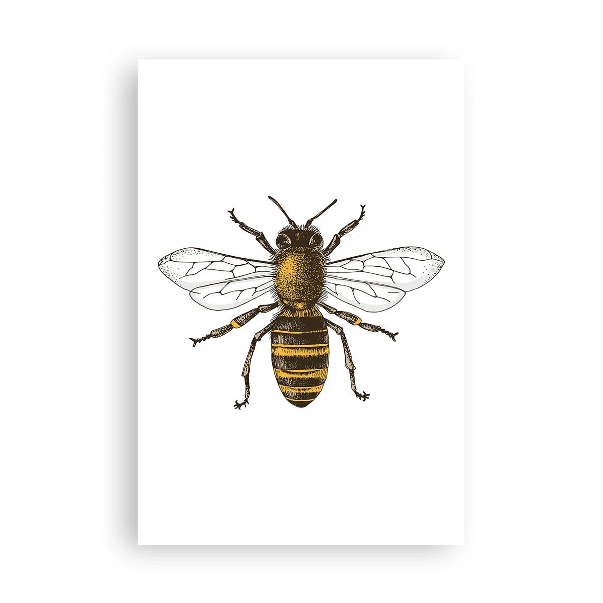 Poszter - Gyönyörű és jó - 61x91 cm