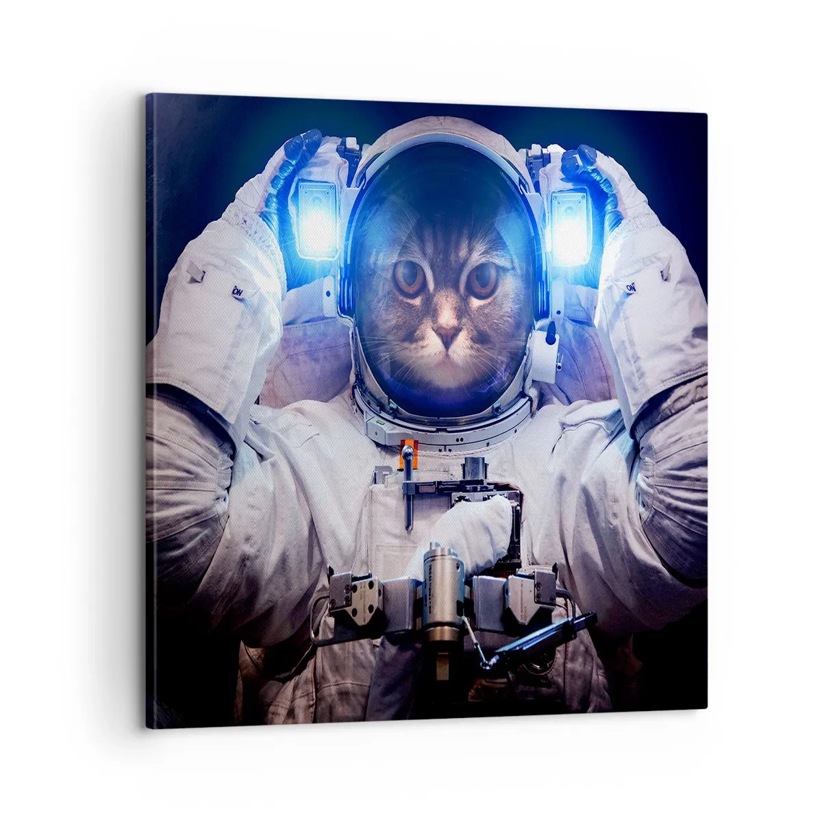 Vászonkép - Houston, baj van - 60x60 cm