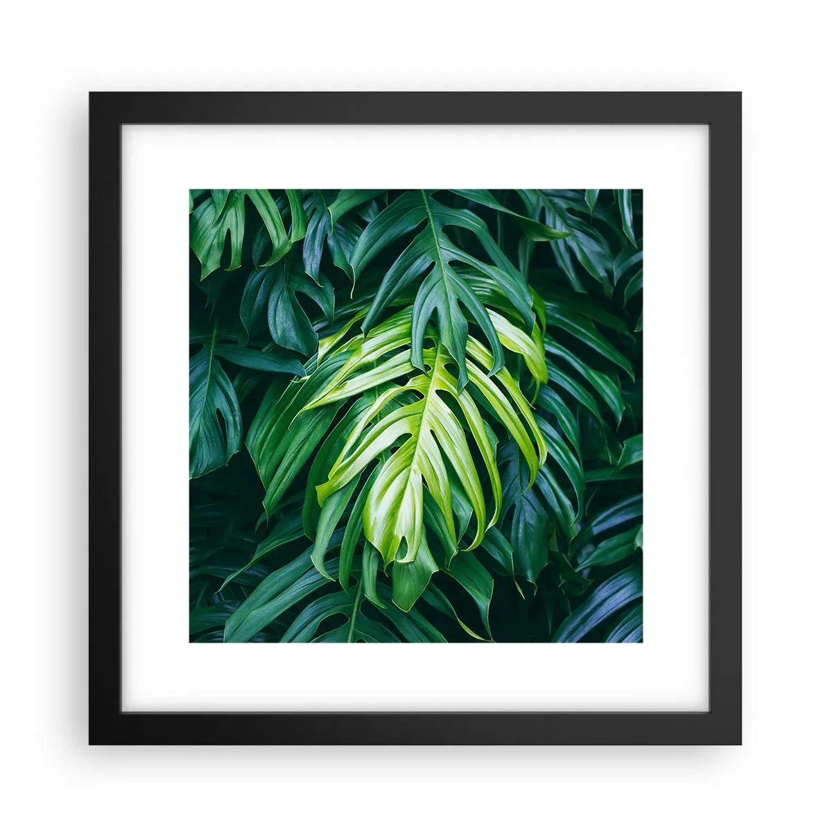 Poszter fehér keretben - Merüljön el a frissességben - 30x30 cm