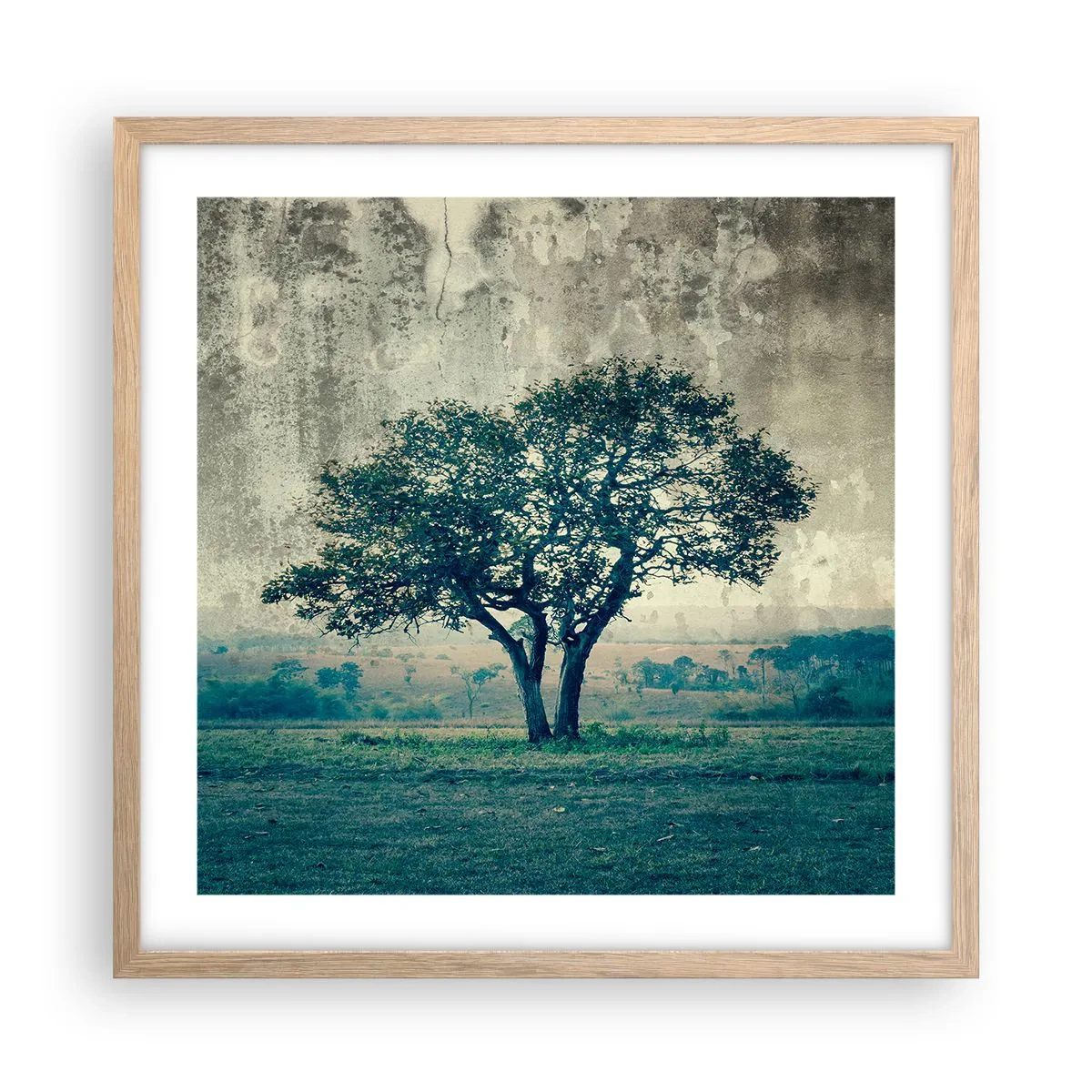 Poszter világos tölgy keretben - Almafa a kék mezőn? - 50x50 cm