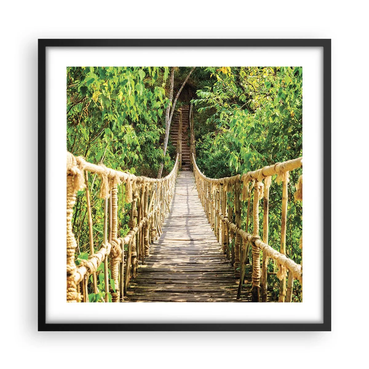 Poszter fehér keretben - Zöldben ragadva - 50x50 cm