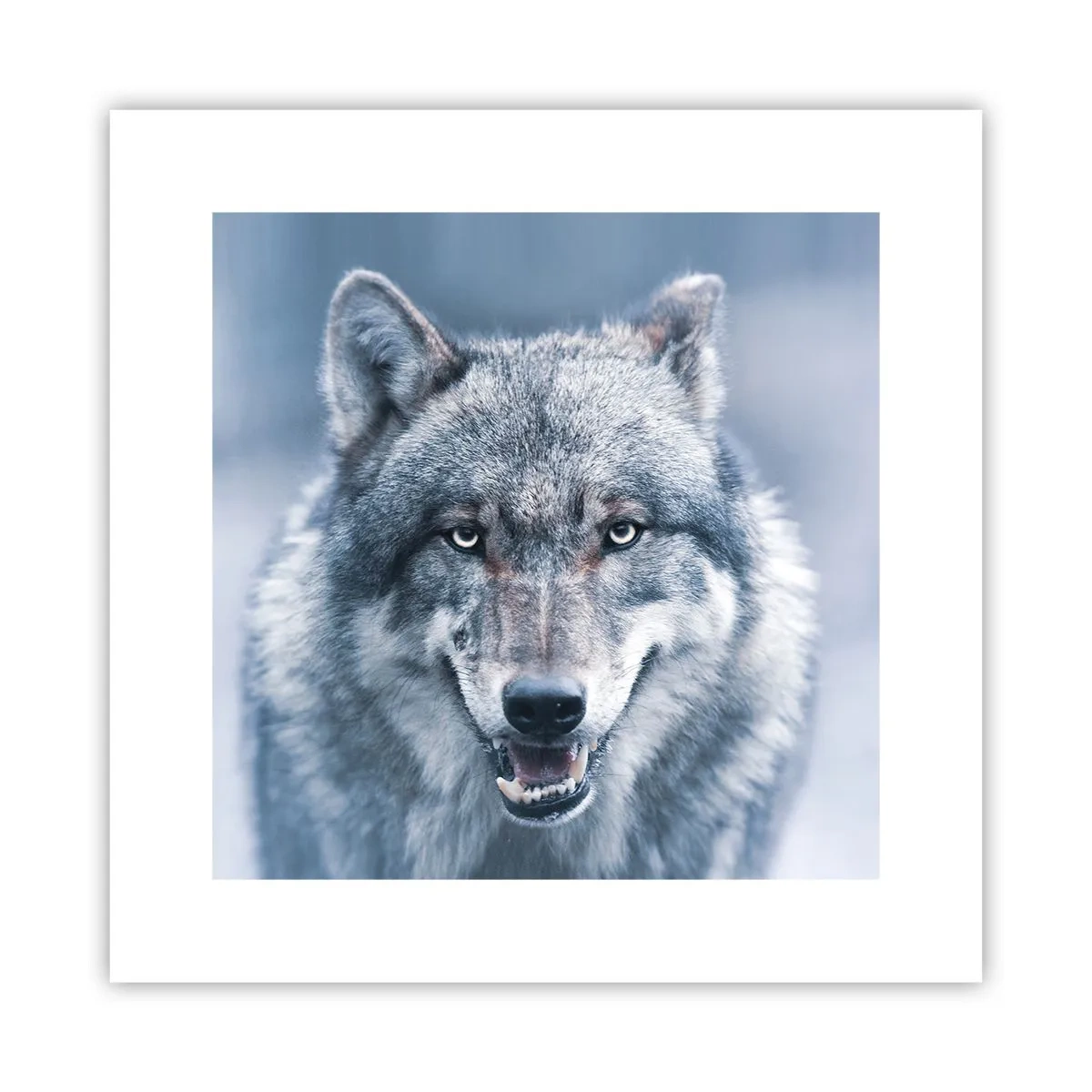 Poszter - Vállalod a kihívást? - 30x30 cm