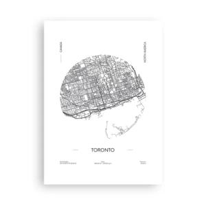 Poszter - Toronto anatómiája - 50x70 cm