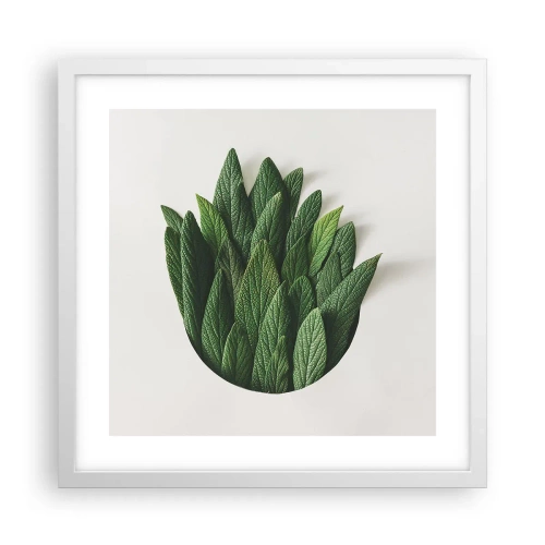 Poszter fekete keretben - Féktelen kíváncsiság - 40x40 cm