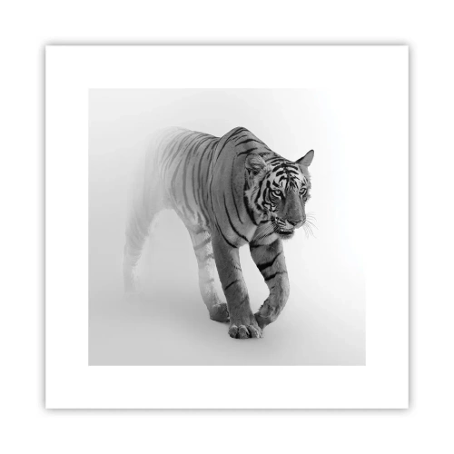 Poszter - Elrejtőzik a ködben - 30x30 cm