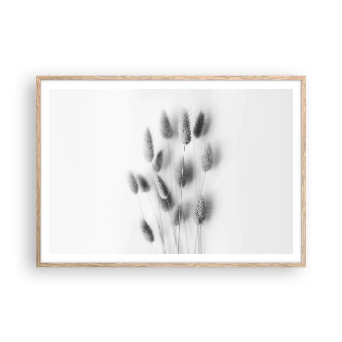 Poszter világos tölgy keretben - A bolyhos fű - 100x70 cm