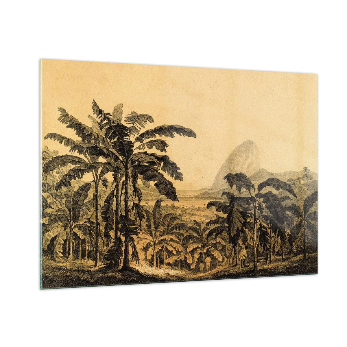 Üveg kép - Gyarmati klímában - 100x70 cm