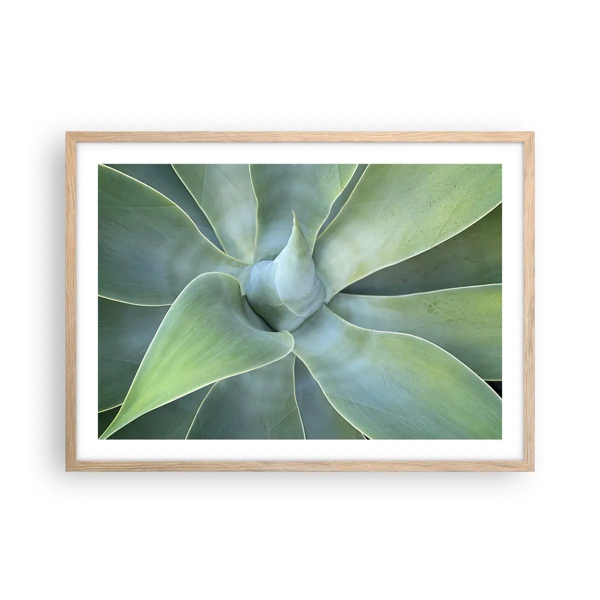 Poszter világos tölgy keretben - A zöld születése - 70x50 cm