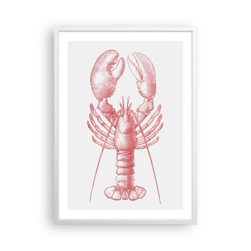 Poszter fekete keretben - Homéroszhoz méltó homár - 50x70 cm