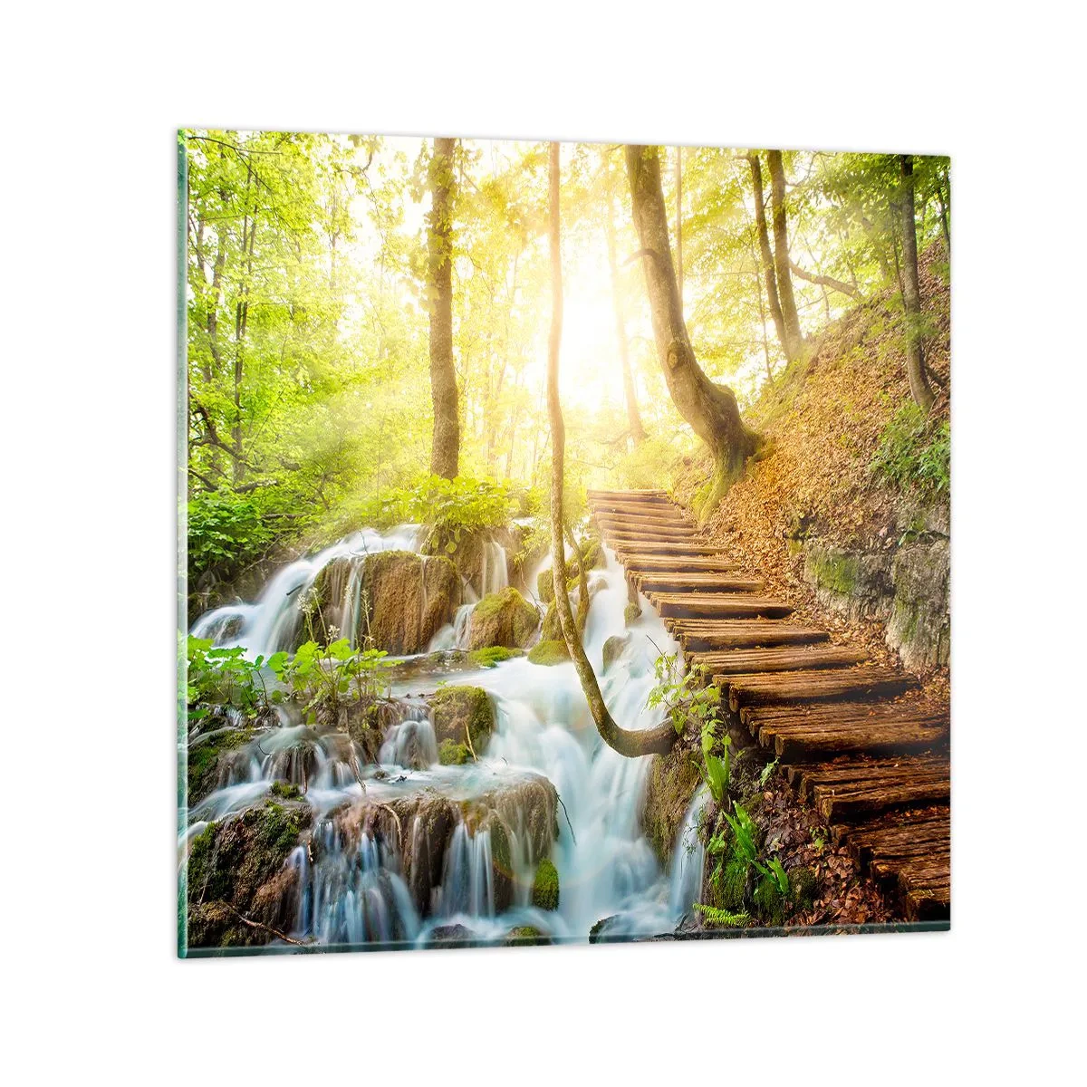 Üveg kép - Vágyott hűs - 60x60 cm