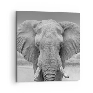 Vászonkép - Üdv a világomban - 70x70 cm