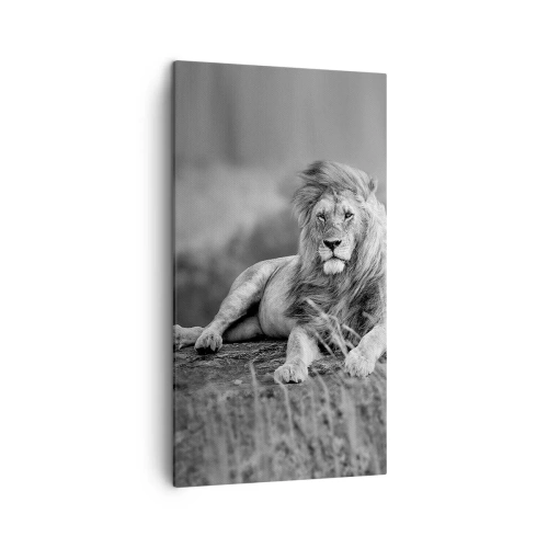 Vászonkép - Királyi szieszta - 45x80 cm