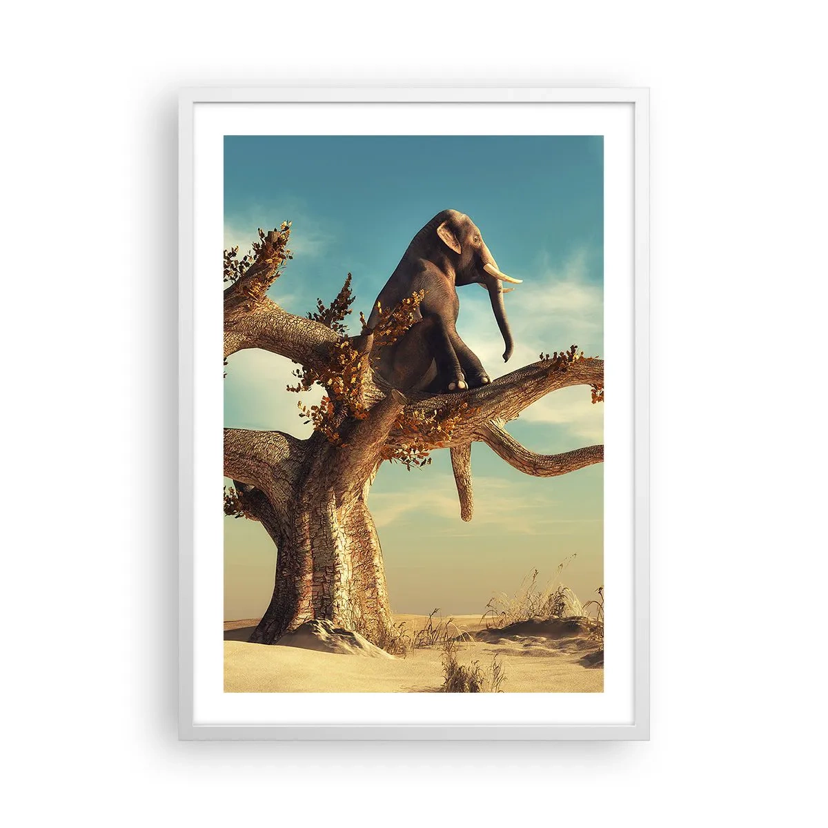 Poszter fekete keretben - Egy új nézőpont - 50x70 cm