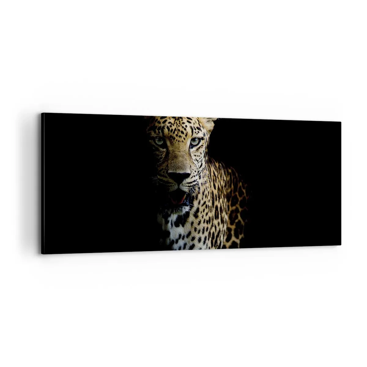 Vászonkép - Sötét szépség - 100x40 cm