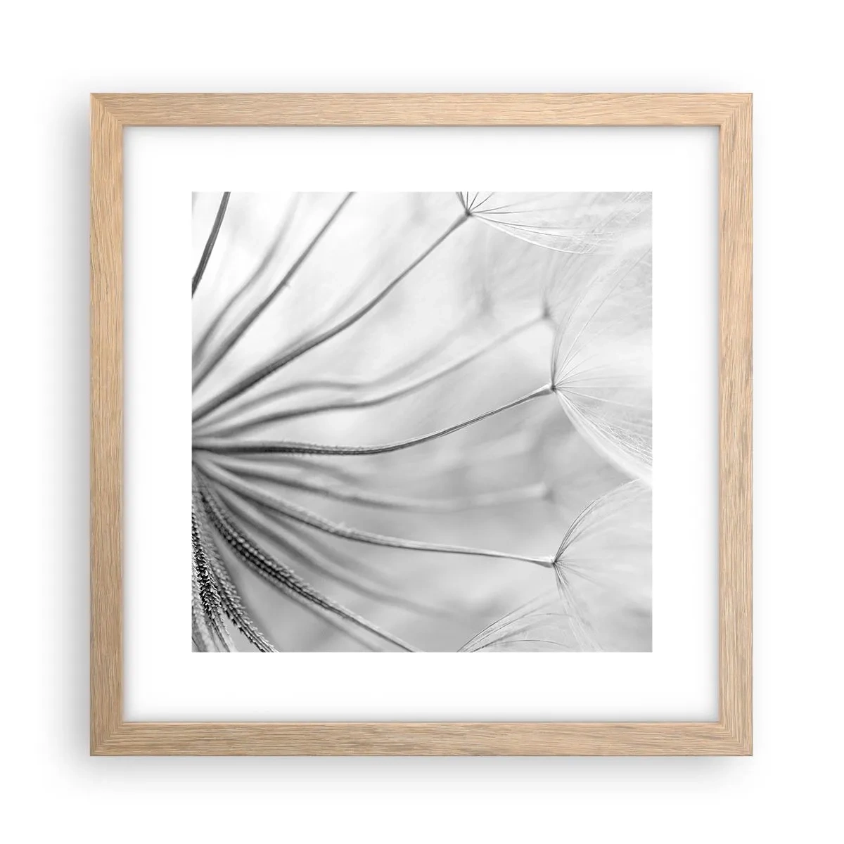 Poszter világos tölgy keretben - Pitypang, papírsárkány - 30x30 cm