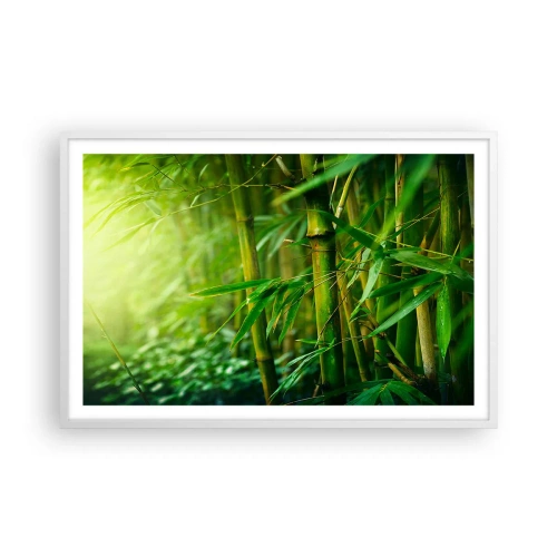 Poszter fekete keretben - Megismerni magát a zöldet - 91x61 cm