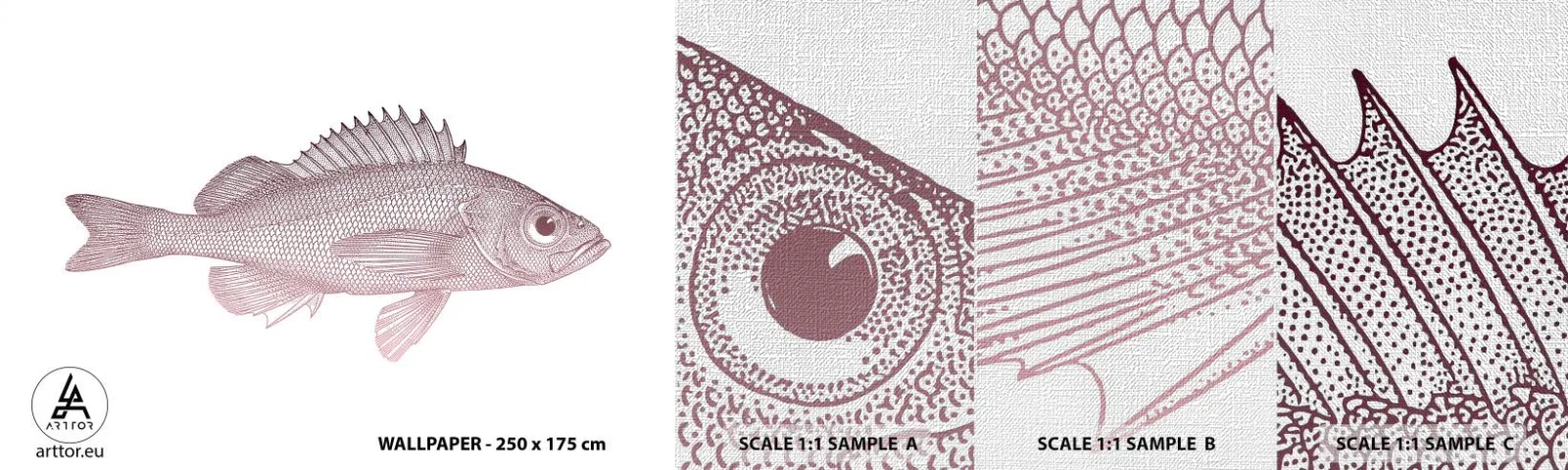 Fotótapéta Minta Premium Canvas - Nagyszemű hal - Hal, viz alatti, Minimalista - 100x30 cm