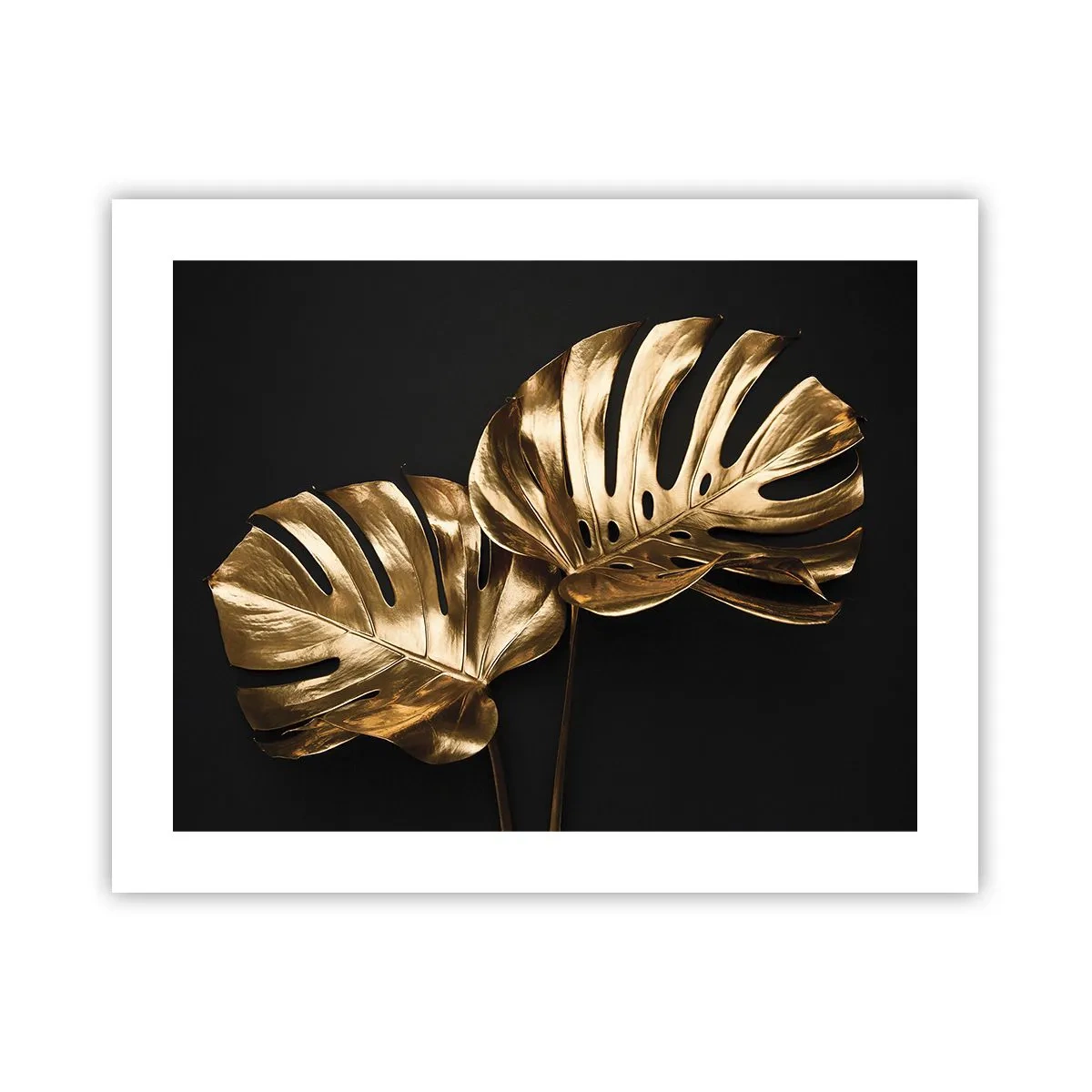 Poszter - A természet kincsei - 50x40 cm