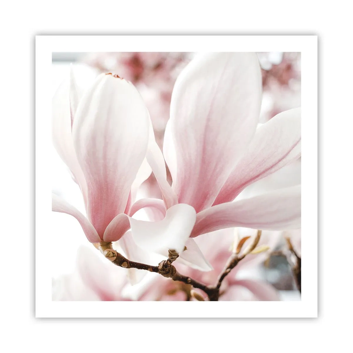 Poszter - Határtalan gyengédség - 60x60 cm