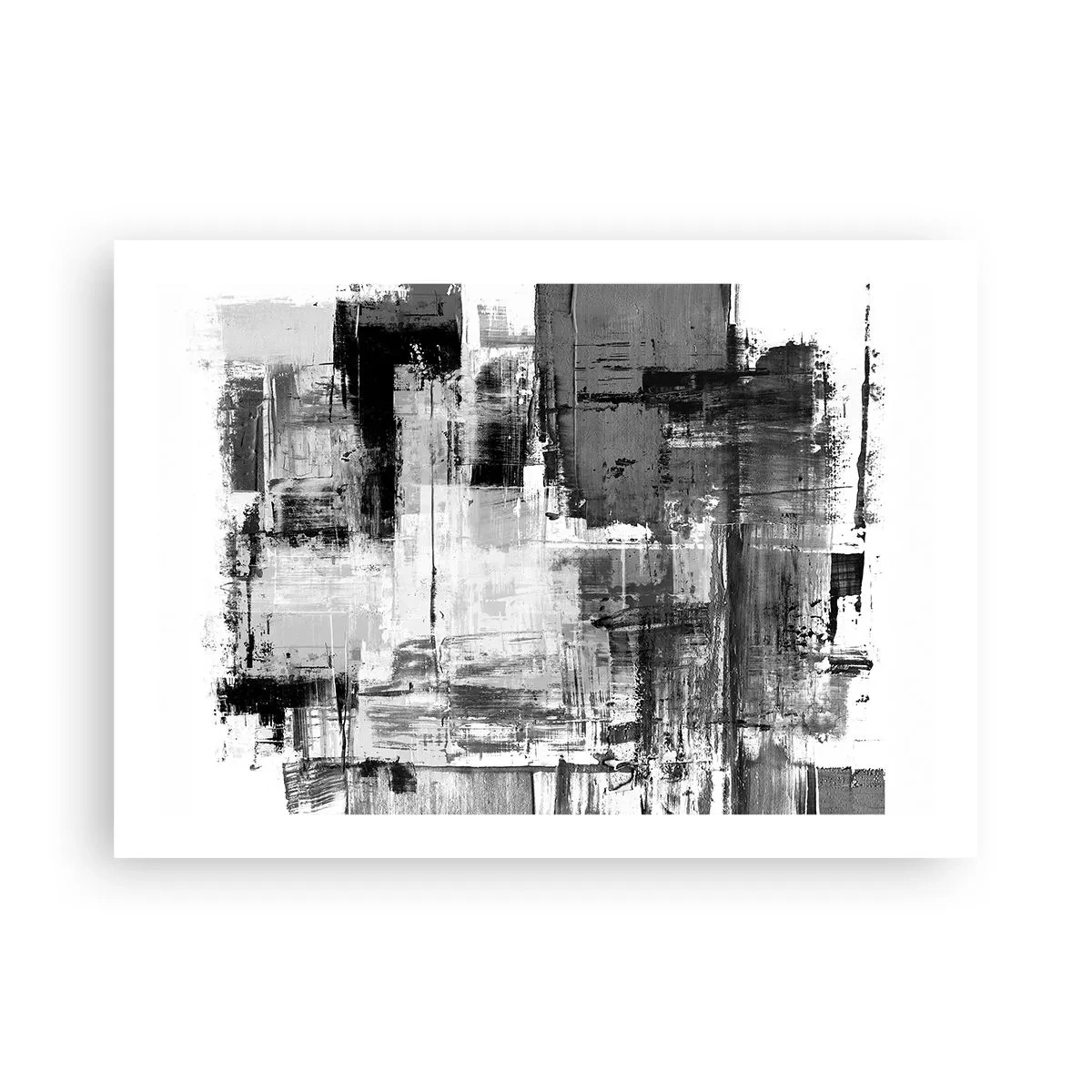 Poszter - A szürke szép - 70x50 cm