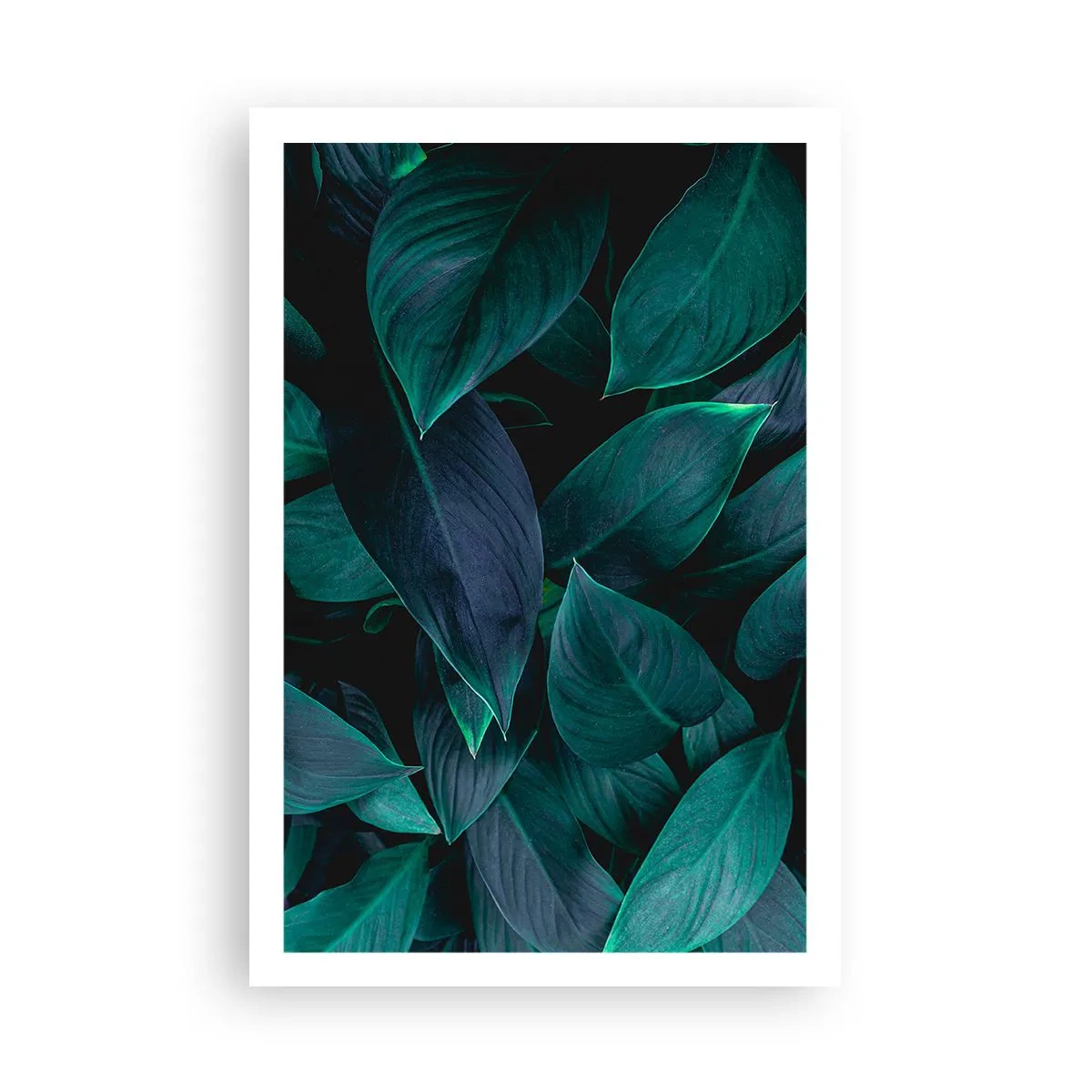 Poszter - Maga a zöldellő növényzet - 61x91 cm