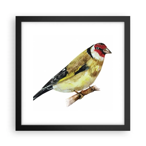 Poszter fehér keretben - Madárportré - 30x30 cm