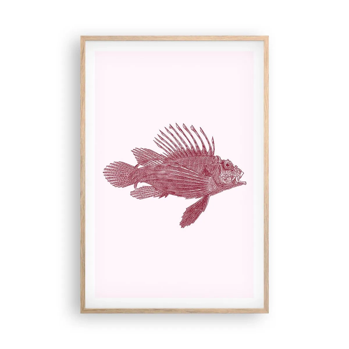 Poszter világos tölgy keretben - Egzotikus vizek lakója - 61x91 cm