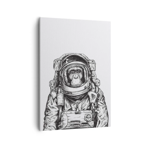 Vászonkép - Alternatív evolúció - 50x70 cm