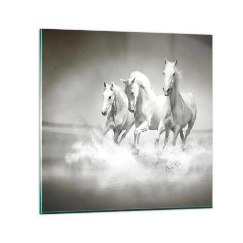 Üveg kép - Fehér őrület - 70x70 cm