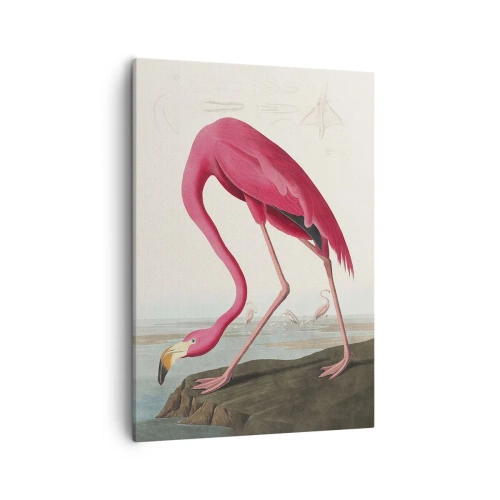 Vászonkép - Csodálatos teremtmény - 50x70 cm