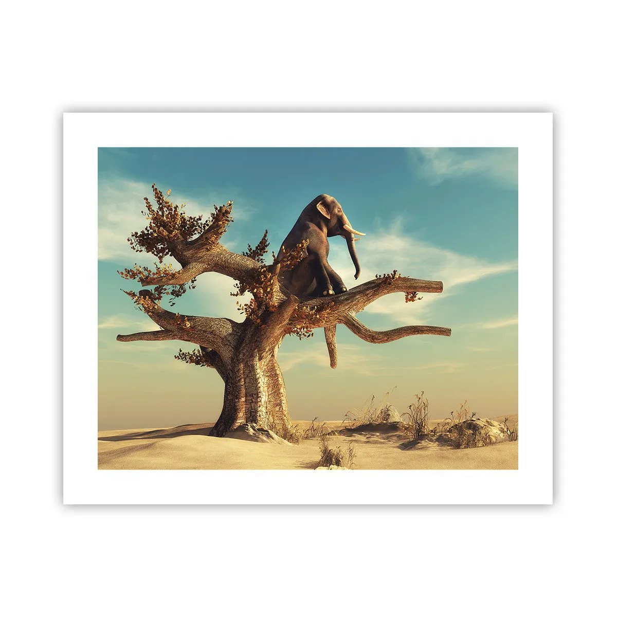 Poszter - Egy új nézőpont - 50x40 cm