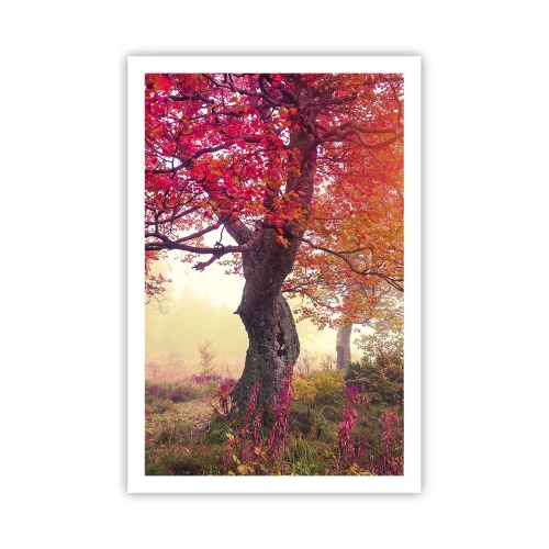 Poszter - Virágzás őrülete - 61x91 cm